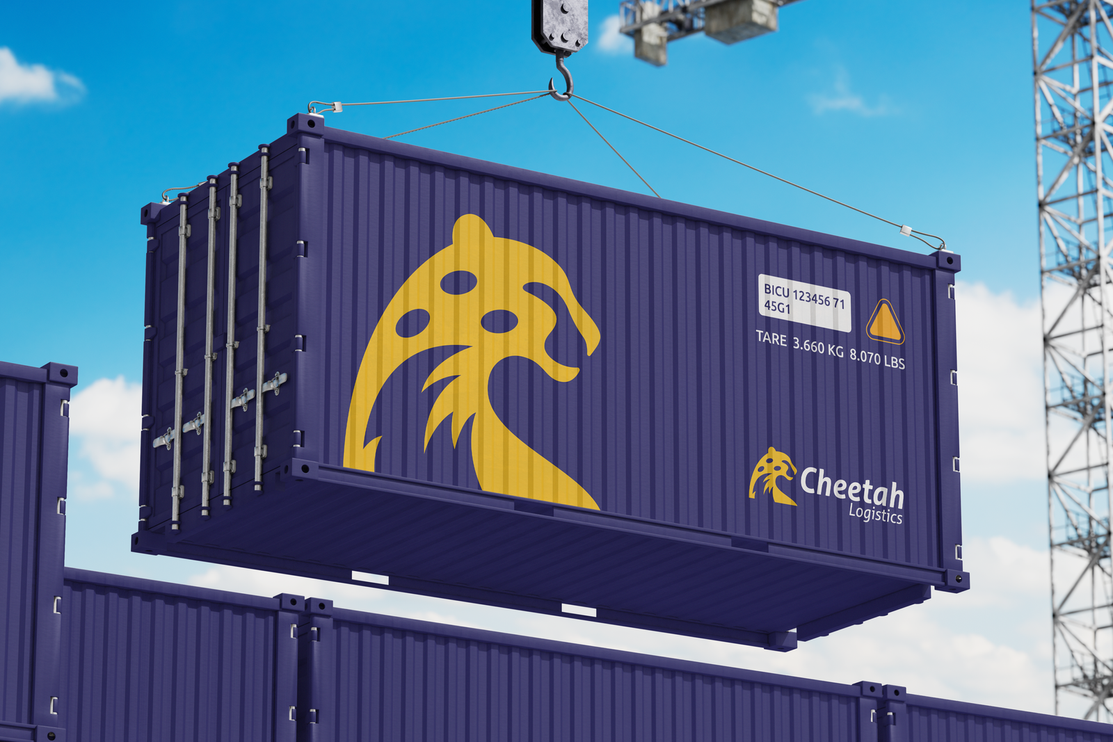 Cheetah Logistics Background