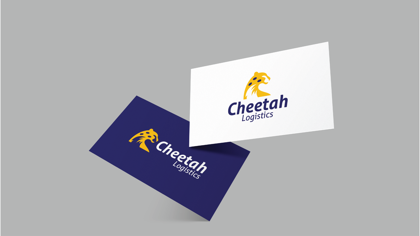 Cheetah Logistics – 10