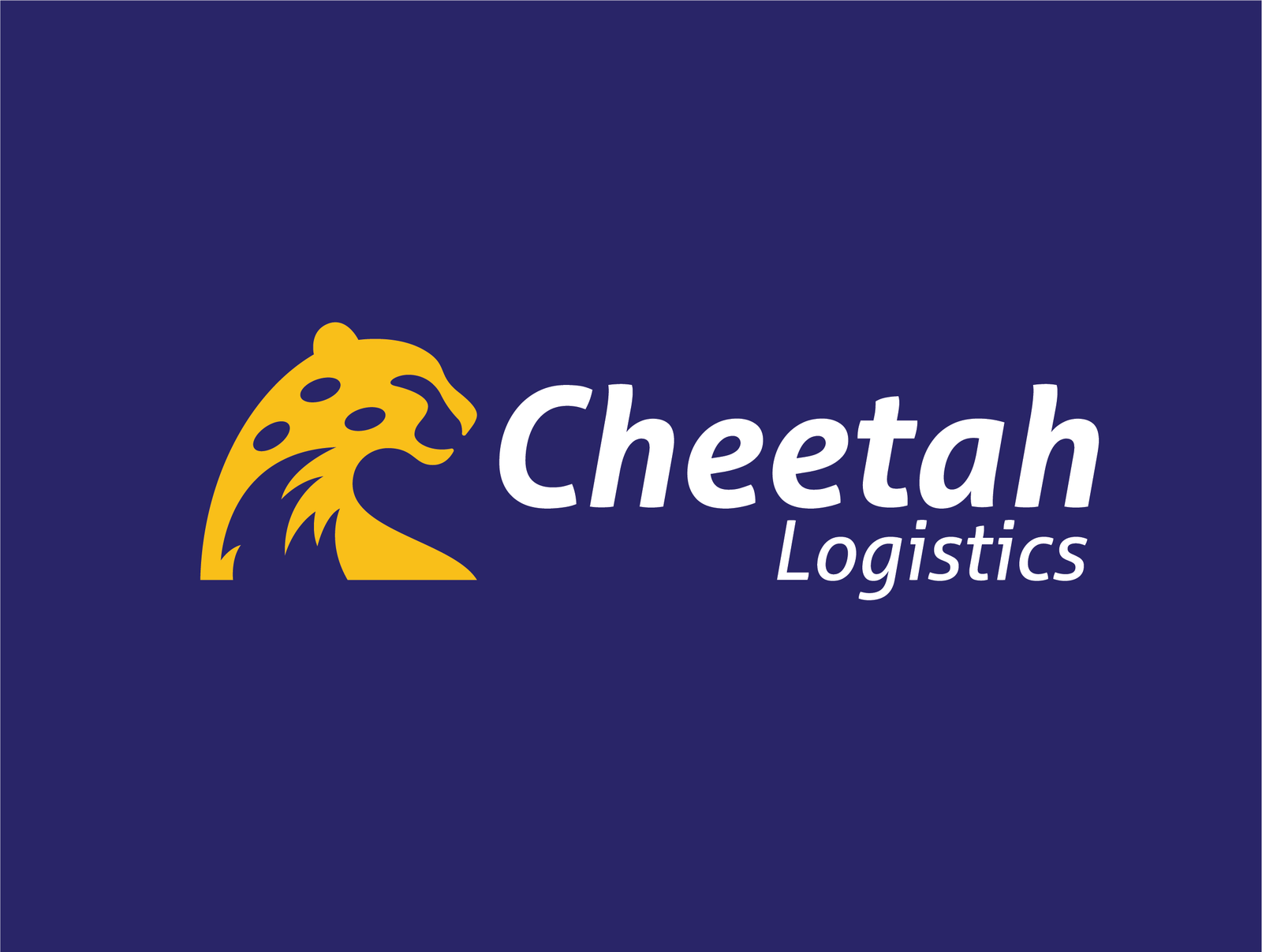Cheetah Logistics – 3