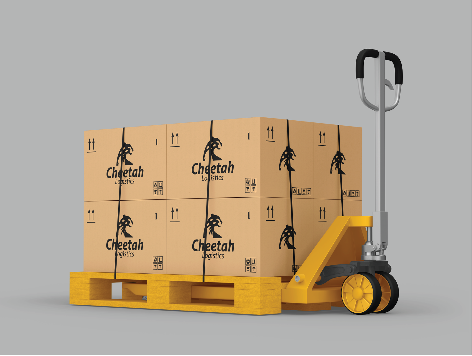 Cheetah Logistics – 8